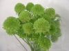 PureeGreen.JPG