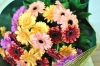 87emi0033.jpg